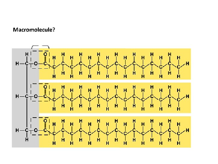 Macromolecule? 