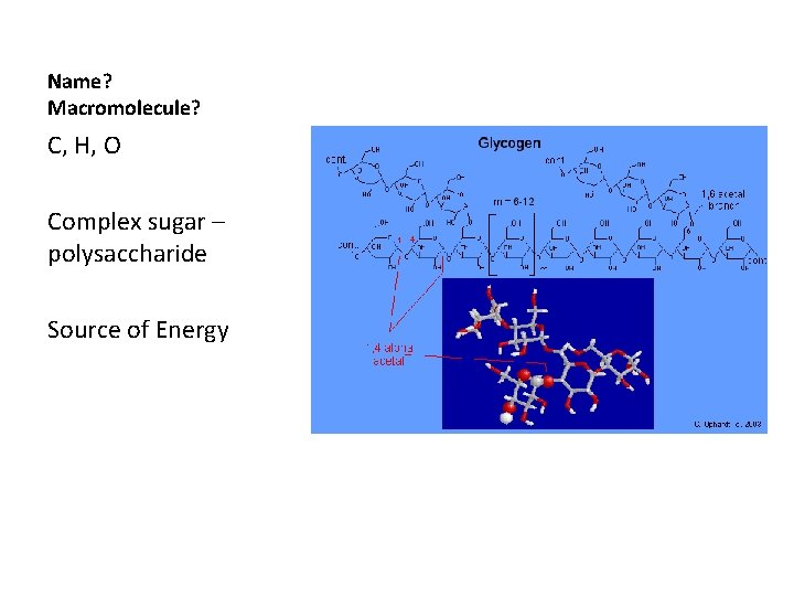 Name? Macromolecule? C, H, O Complex sugar – polysaccharide Source of Energy 