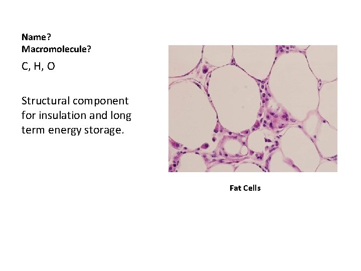 Name? Macromolecule? C, H, O Structural component for insulation and long term energy storage.