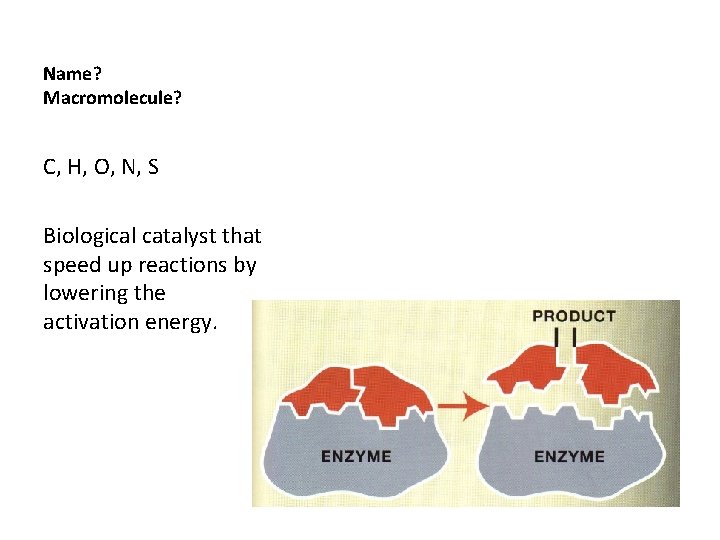 Name? Macromolecule? C, H, O, N, S Biological catalyst that speed up reactions by