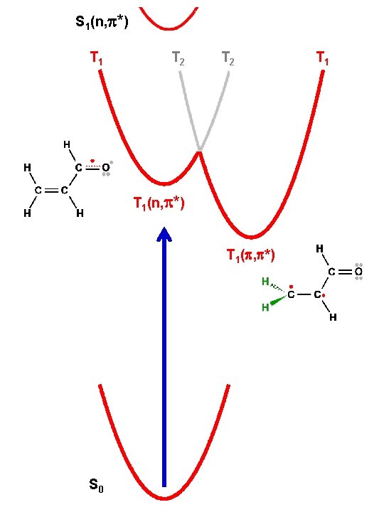 S 1(n, p*) T 1 T 2 T 1(n, p*) T 1(p, p*) S