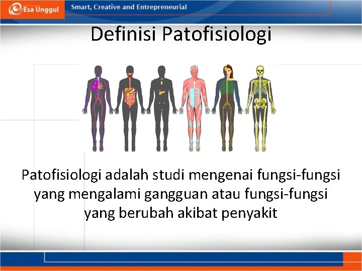 Definisi Patofisiologi adalah studi mengenai fungsi-fungsi yang mengalami gangguan atau fungsi-fungsi yang berubah akibat