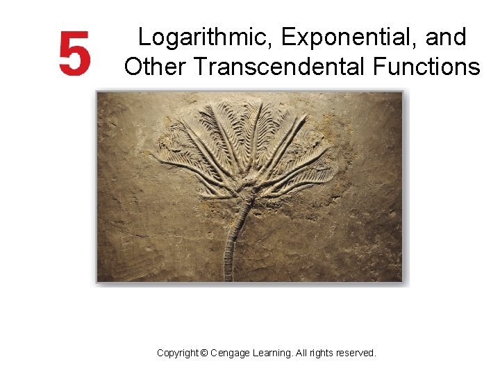 Logarithmic, Exponential, and Other Transcendental Functions Copyright © Cengage Learning. All rights reserved. 