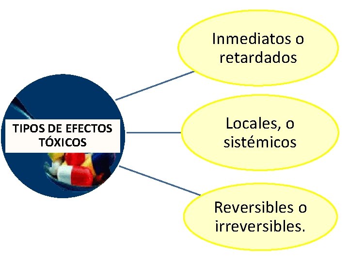 Inmediatos o retardados TIPOS DE EFECTOS TÓXICOS Locales, o sistémicos Reversibles o irreversibles. 