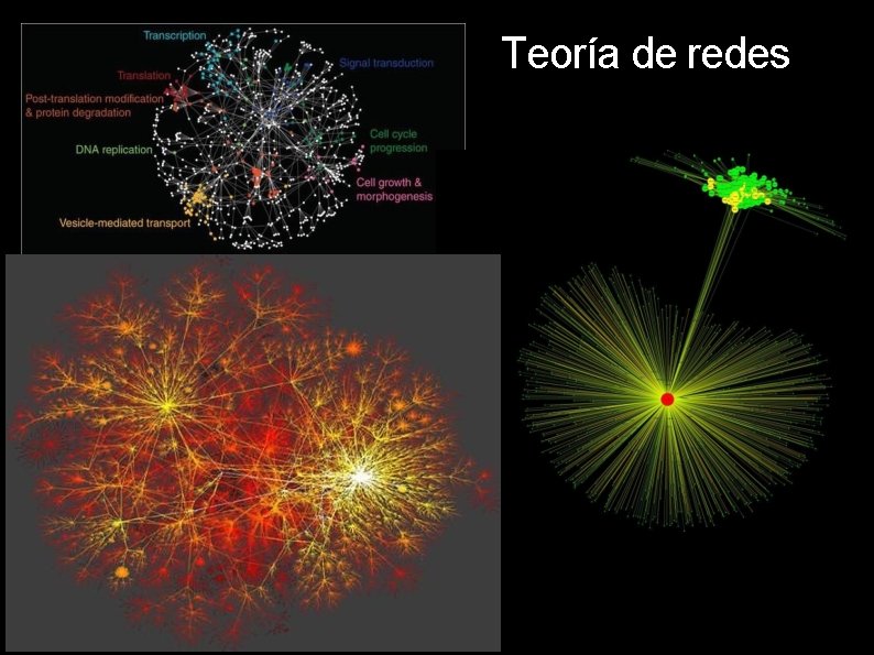 Teoría de redes 