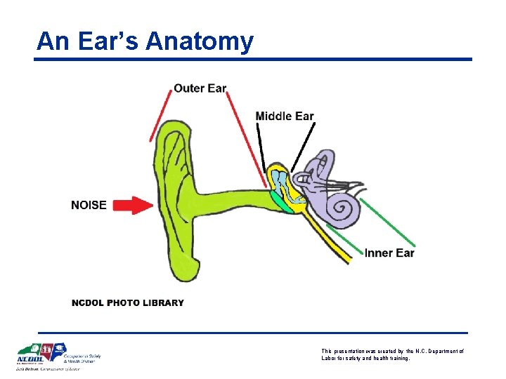 An Ear’s Anatomy This presentation was created by the N. C. Department of Labor