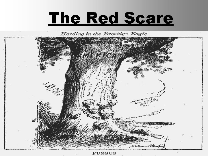 The Red Scare 