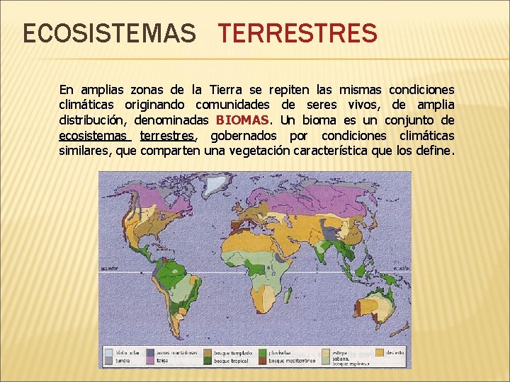 ECOSISTEMAS TERRESTRES En amplias zonas de la Tierra se repiten las mismas condiciones climáticas