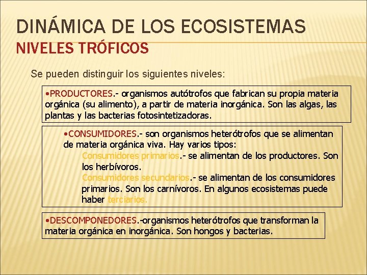 DINÁMICA DE LOS ECOSISTEMAS NIVELES TRÓFICOS Se pueden distinguir los siguientes niveles: • PRODUCTORES.