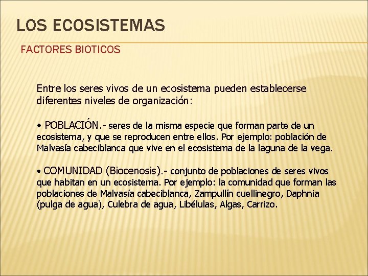 LOS ECOSISTEMAS FACTORES BIOTICOS Entre los seres vivos de un ecosistema pueden establecerse diferentes