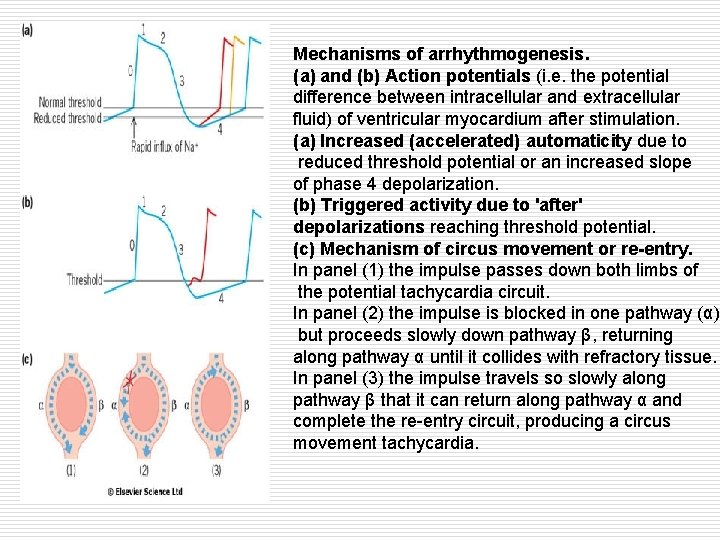 Mechanisms of arrhythmogenesis. (a) and (b) Action potentials (i. e. the potential difference between