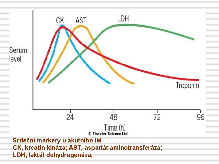 Srdeční markery u akutního IM CK, kreatin kináza; AST, aspartát aminotransferáza; LDH, laktát dehydrogenáza.