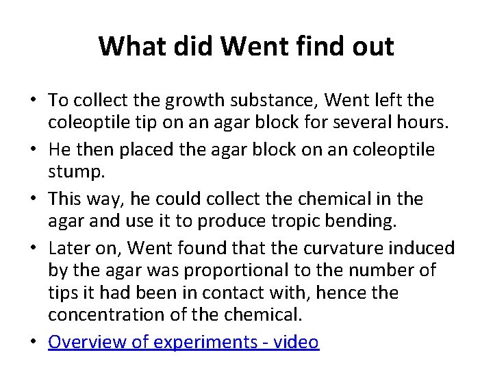 What did Went find out • To collect the growth substance, Went left the