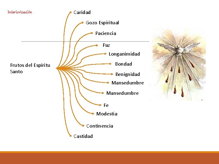 Interiorización Caridad Gozo Espiritual Paciencia Paz Longanimidad Bondad Frutos del Espíritu Santo Benignidad Mansedumbre