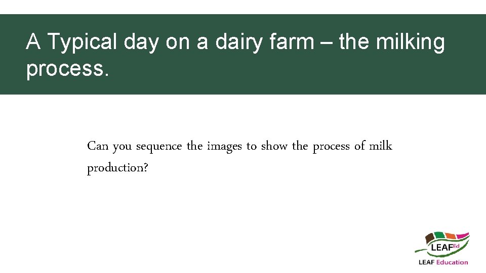 A Typical day on a dairy farm – the milking process. Can you sequence