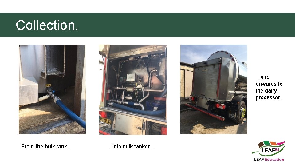 Collection. . and onwards to the dairy processor. From the bulk tank. . .