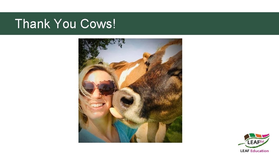 Thank You Cows! 