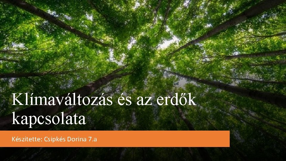 Klímaváltozás és az erdők kapcsolata Készítette: Csipkés Dorina 7. a 