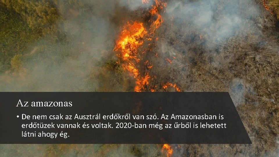 Az amazonas • De nem csak az Ausztrál erdőkről van szó. Az Amazonasban is