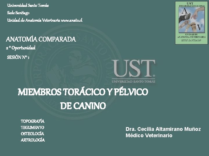 Universidad Santo Tomás Sede Santiago Unidad de Anatomía Veterinaria www. anato. cl ANATOMÍA COMPARADA