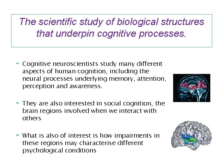 The scientific study of biological structures that underpin cognitive processes. Cognitive neuroscientists study many