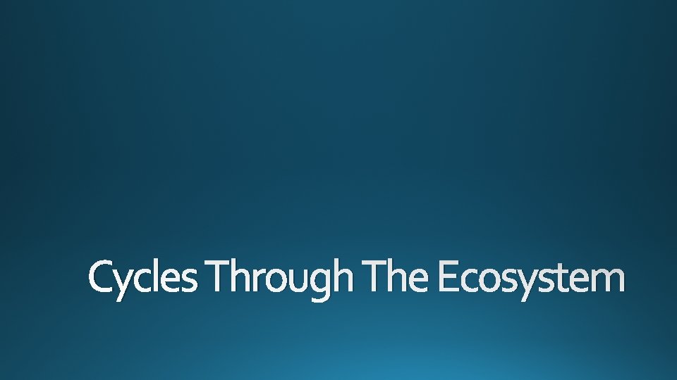 Cycles Through The Ecosystem 
