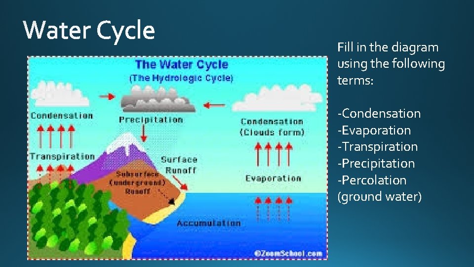 Fill in the diagram using the following terms: -Condensation -Evaporation -Transpiration -Precipitation -Percolation (ground