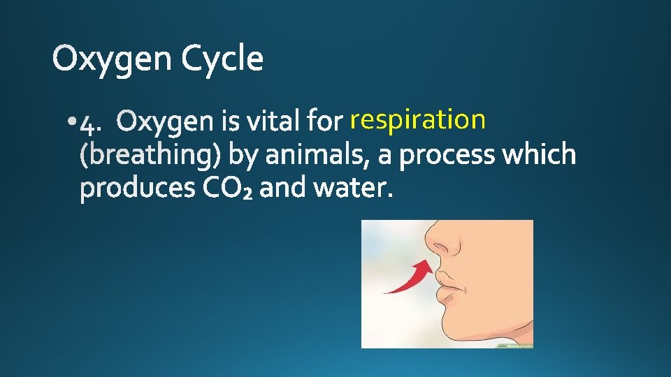 respiration 