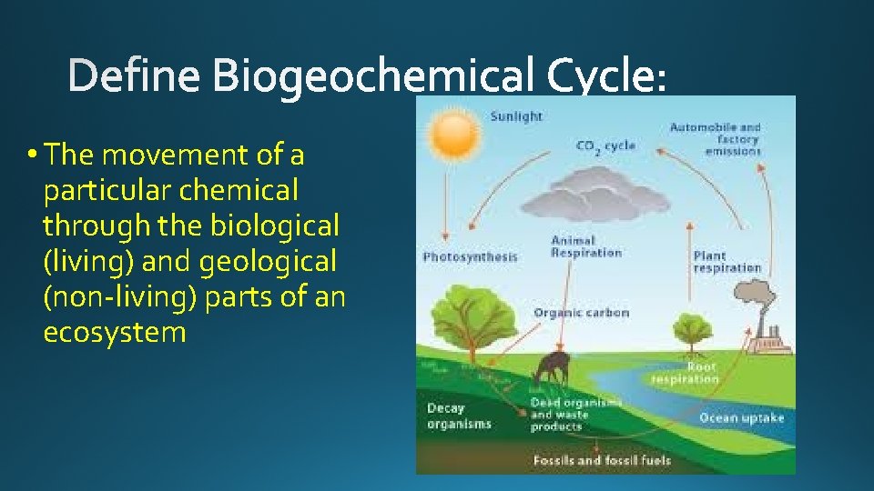  • The movement of a particular chemical through the biological (living) and geological