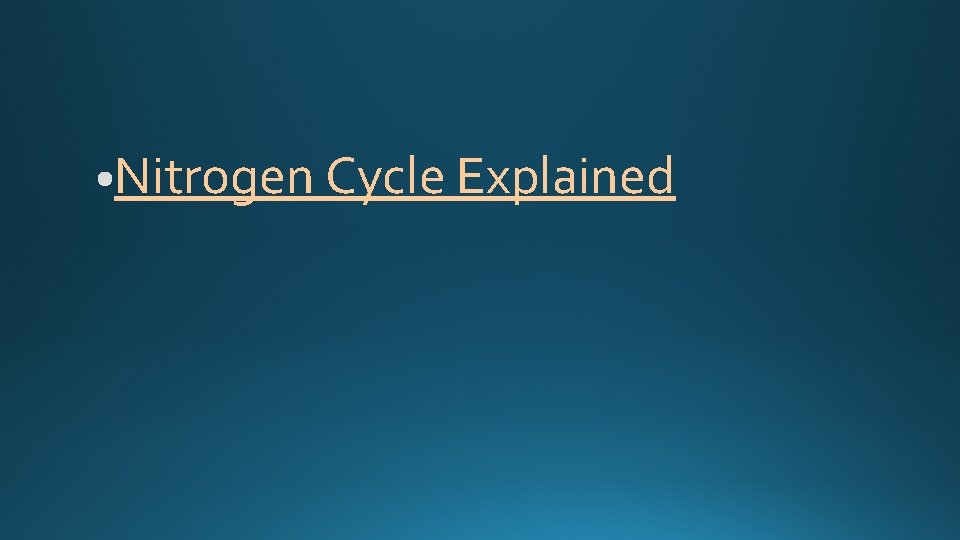 Nitrogen Cycle Explained 