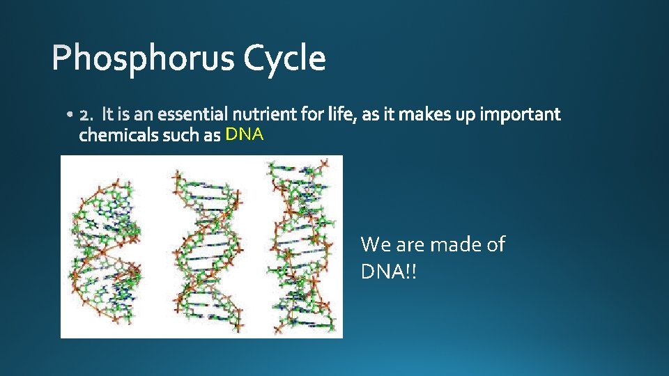 DNA We are made of DNA!! 