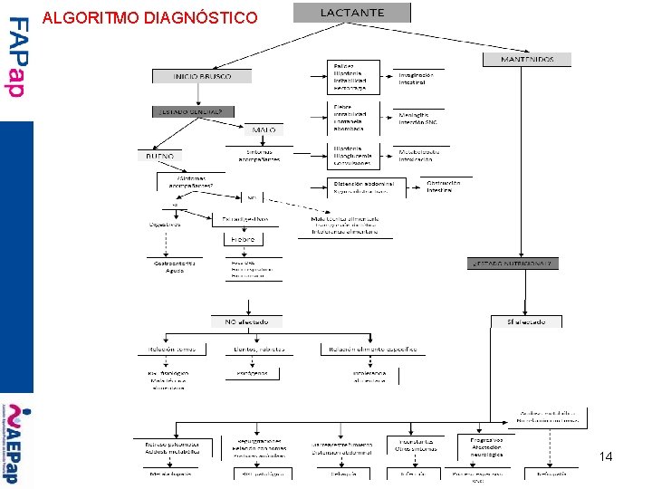 ALGORITMO DIAGNÓSTICO 14 