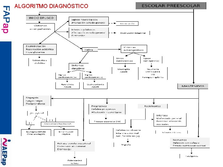 ALGORITMO DIAGNÓSTICO 15 