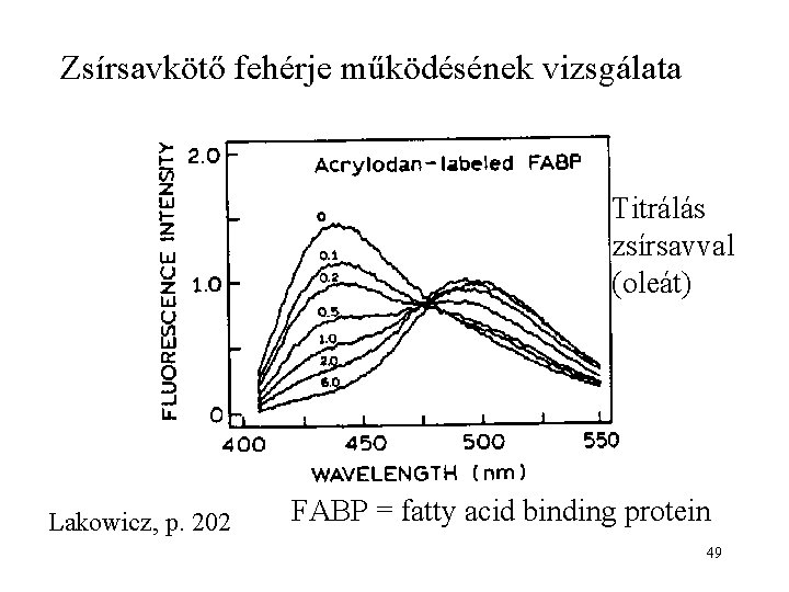 Zsírsavkötő fehérje működésének vizsgálata Titrálás zsírsavval (oleát) Lakowicz, p. 202 FABP = fatty acid