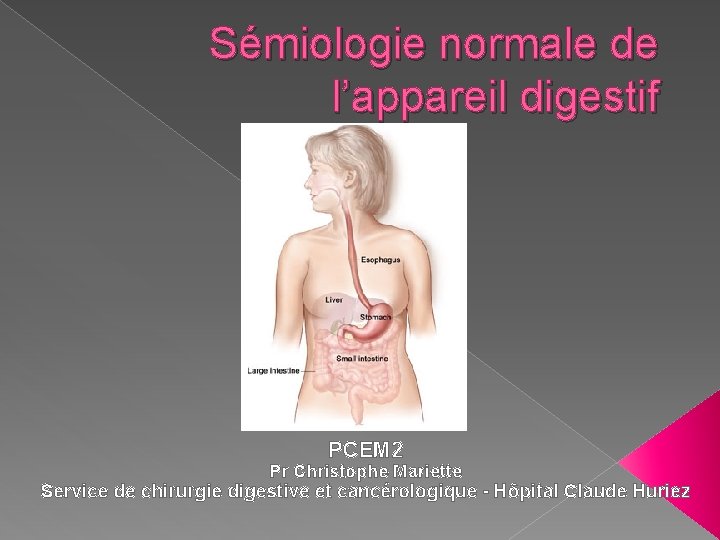 Sémiologie normale de l’appareil digestif PCEM 2 Pr Christophe Mariette Service de chirurgie digestive