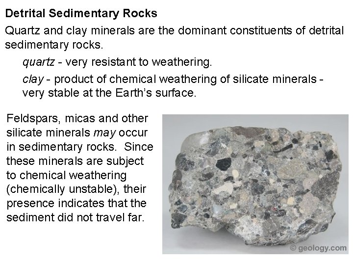 Detrital Sedimentary Rocks Quartz and clay minerals are the dominant constituents of detrital sedimentary