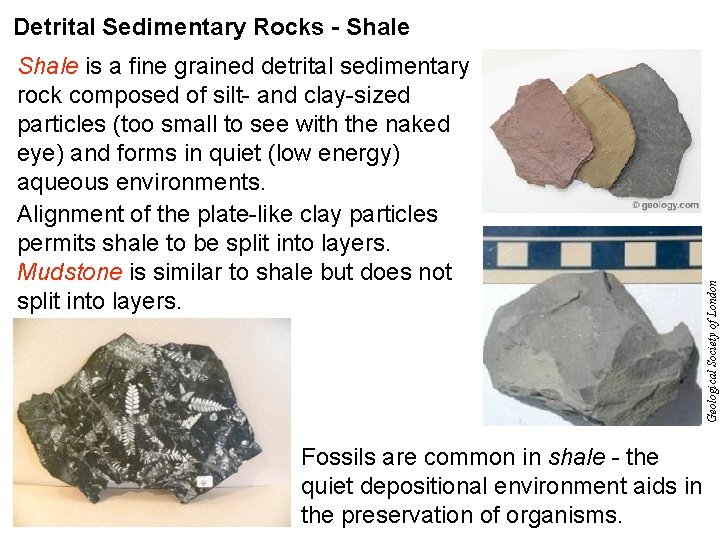 Shale is a fine grained detrital sedimentary rock composed of silt- and clay-sized particles Shale is a fine grained detrital sedimentary rock composed of silt- and clay-sized particles