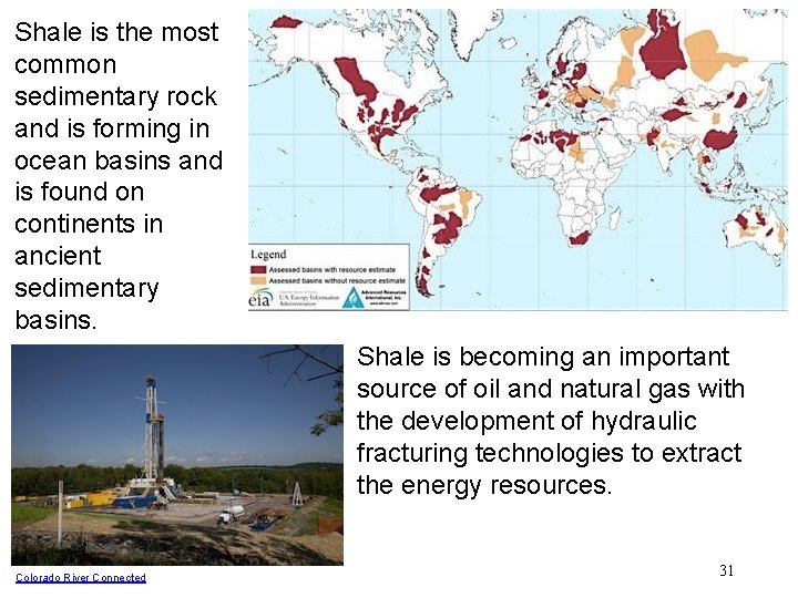 Shale is the most common sedimentary rock and is forming in ocean basins and Shale is the most common sedimentary rock and is forming in ocean basins and