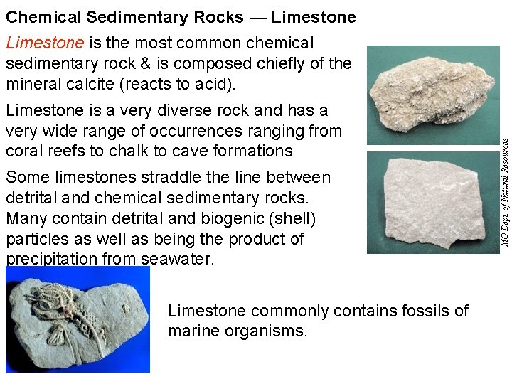 Chemical Sedimentary Rocks — Limestone is a very diverse rock and has a very