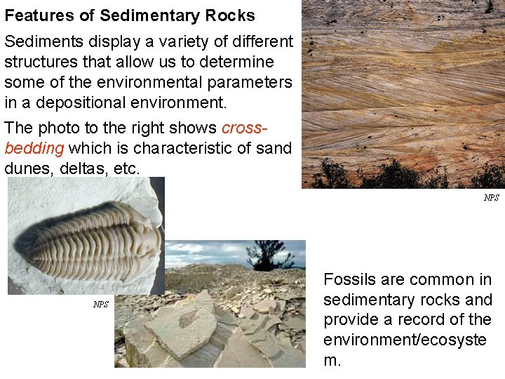 Features of Sedimentary Rocks Sediments display a variety of different structures that allow us