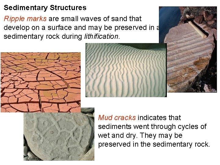 Sedimentary Structures Ripple marks are small waves of sand that develop on a surface Sedimentary Structures Ripple marks are small waves of sand that develop on a surface