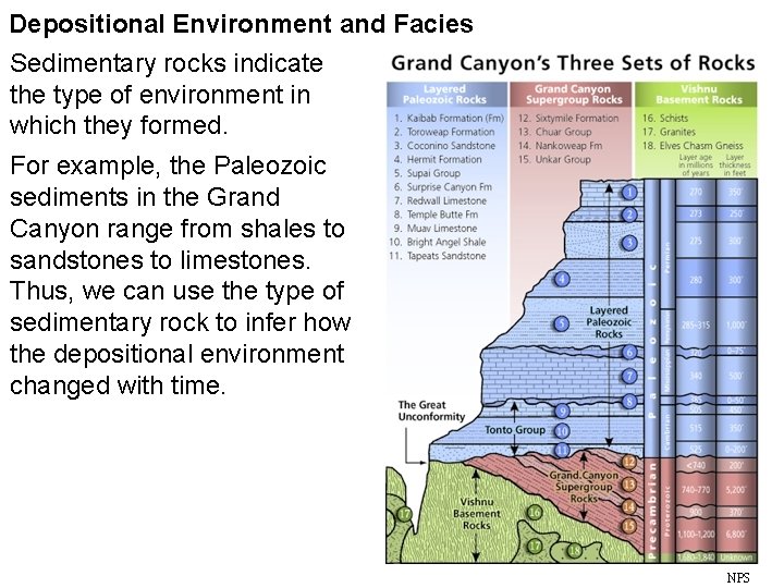 Depositional Environment and Facies Sedimentary rocks indicate the type of environment in which they