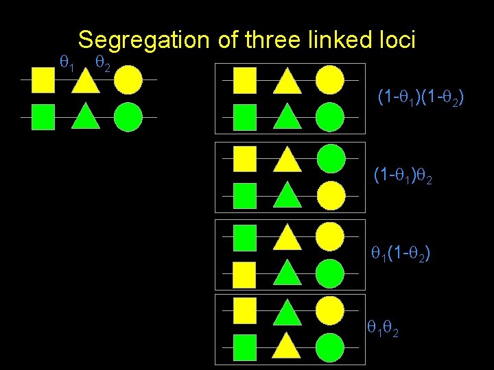  1 Segregation of three linked loci 2 (1 - 1)(1 - 2) (1