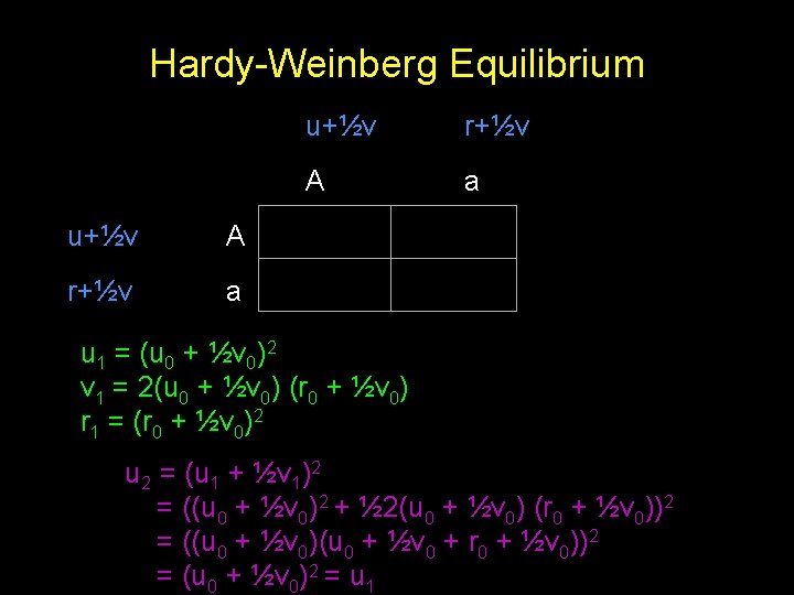 Hardy-Weinberg Equilibrium u+½v A r+½v a u+½v r+½v A a u 1 = (u