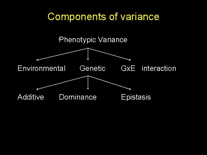 Components of variance Phenotypic Variance Environmental Additive Genetic Dominance Gx. E interaction Epistasis 