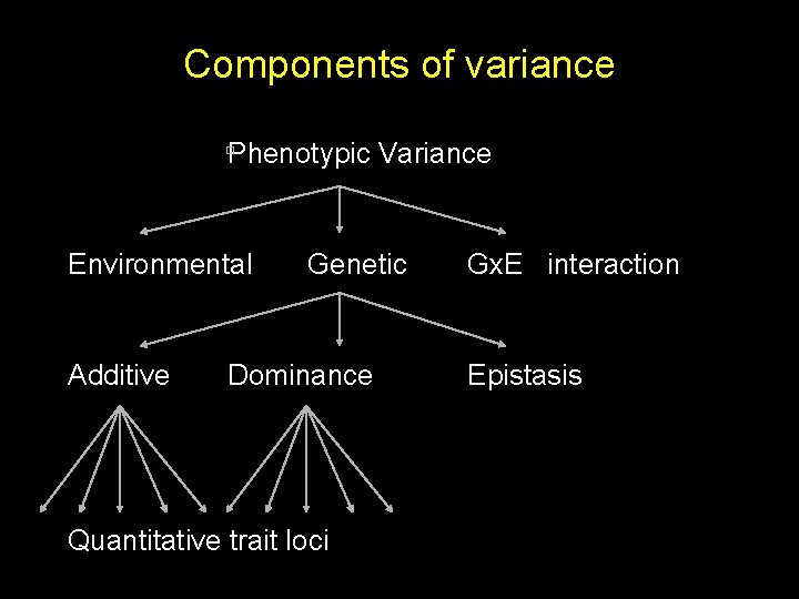 Components of variance Phenotypic Variance Environmental Additive Genetic Dominance Quantitative trait loci Gx. E