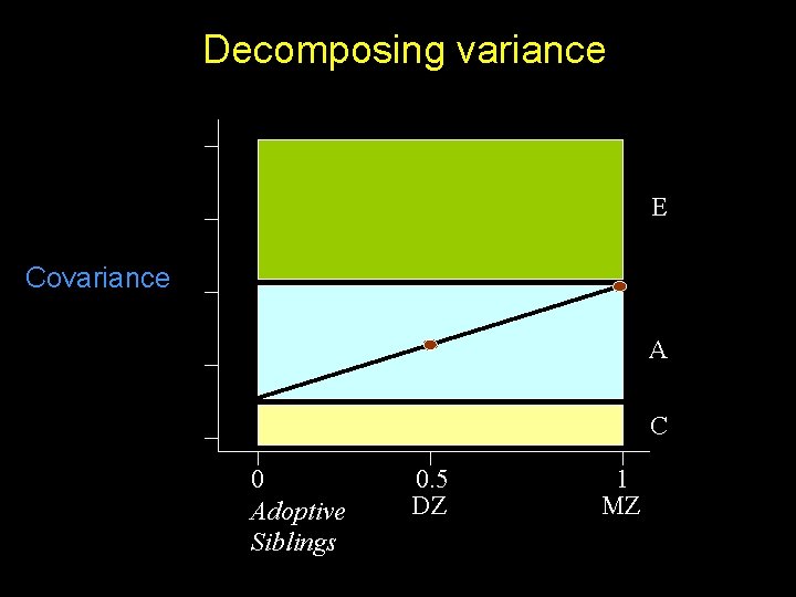 Decomposing variance E Covariance A C 0 Adoptive Siblings 0. 5 DZ 1 MZ