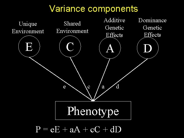 Variance components Unique Environment Shared Environment E Additive Genetic Effects C e A c