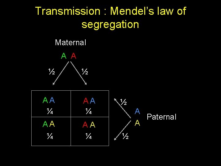 Transmission : Mendel’s law of segregation Maternal A A ½ ½ AA ¼ AA