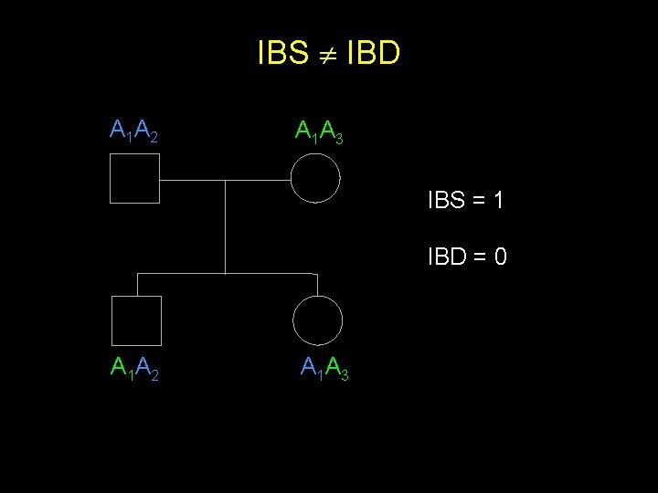 IBS IBD A 1 A 2 A 1 A 3 IBS = 1 IBD